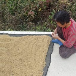 “저거, 제일 못된 풀이여!” | 토사자 단상