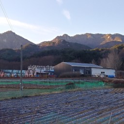 산골마을 아이들의 등교길 | 행복했던 불편