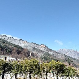 꽃샘추위의 흔적이 선명한 봄날 아침 | 봄눈 풍경