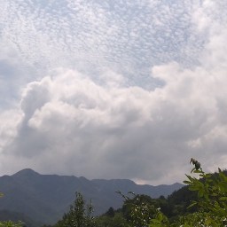 자연에 직선은 없다 | 동네한바퀴