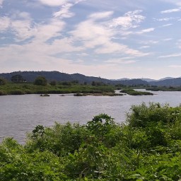 보르헤스의 말 | “책이 지루하면 내려놓으세요”