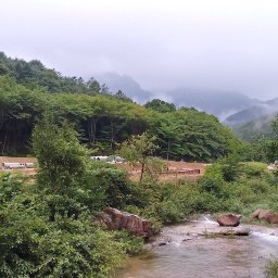 오락가락 보일락말락 | 아침산책길