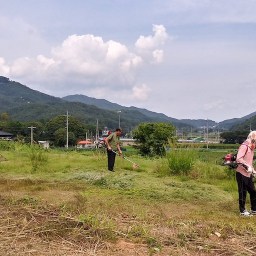 어제는 문중벌초, 오늘은 동네벌초 | 여럿이함께