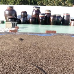 깨알 단상? | 깨알 같은 마음