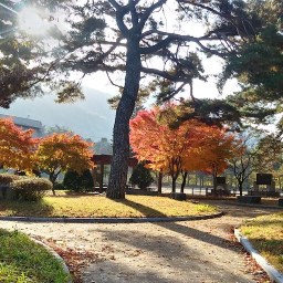 단풍교실 체육수업 | 화북중학교
