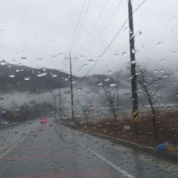 겨울비 단상 | 새하얀 눈이 그리운 겨울