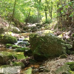 시원한 소리 풍경 | 우지내골 산책길