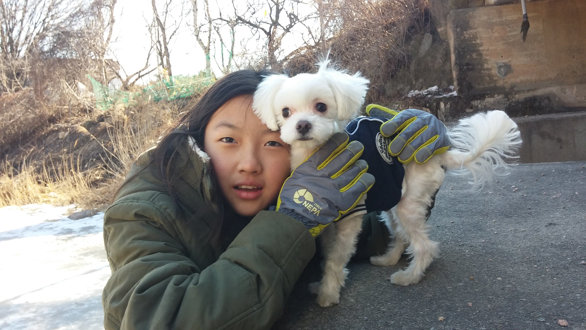 24867750336_99253426cc_k