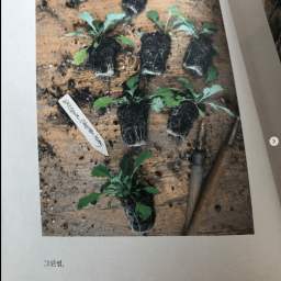 그린썸, 식물을 키우는 손 | 가드너의 일상 속으로