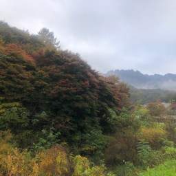 울긋불긋 가을빛깔이 가득한 가을 풍경 속으로… | 동네한바퀴