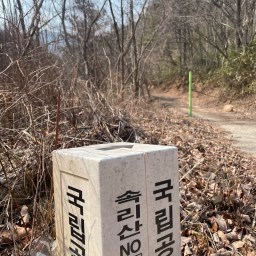 봄소식 가득하건만, 속세를 떠나 있는 속리산 골짜기엔 | 동네한바퀴