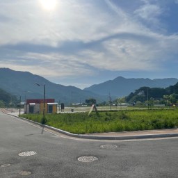 향기로운 하얀 여름꽃 풍경 | 동네한바퀴